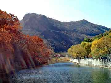 管家婆免费正版资起大全，河北省图书馆首页